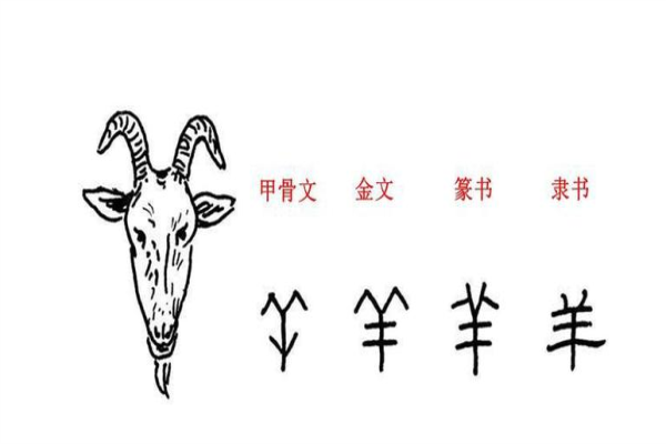 羊的甲骨文字图片图片