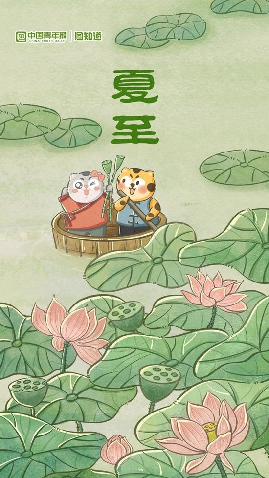 图知道|今日夏至:绿筠尚含粉,圆荷始散芳