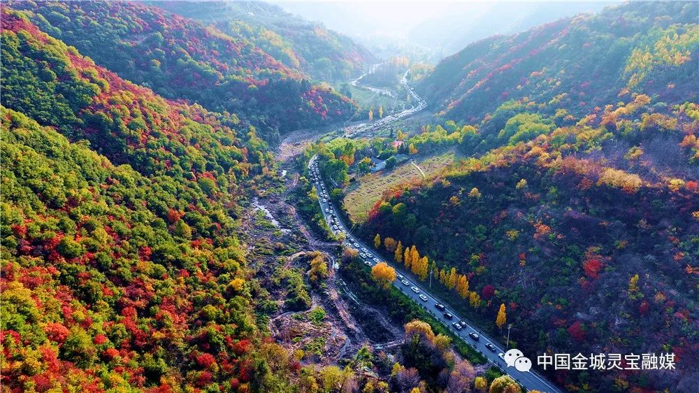 秋染灵宝寺河山,漫山红叶如画卷