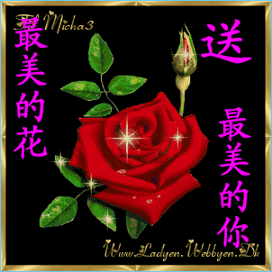 60余个精美早上好表情包