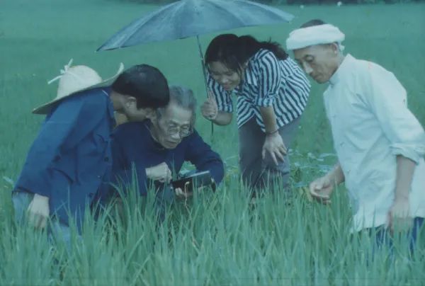 走进科学家 与"泥"奋斗一生的"大地之子—侯光炯