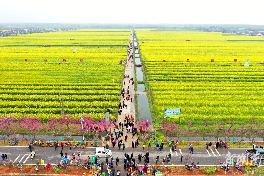良心堡镇:农旅融合硕果丰 金花小镇醉游人