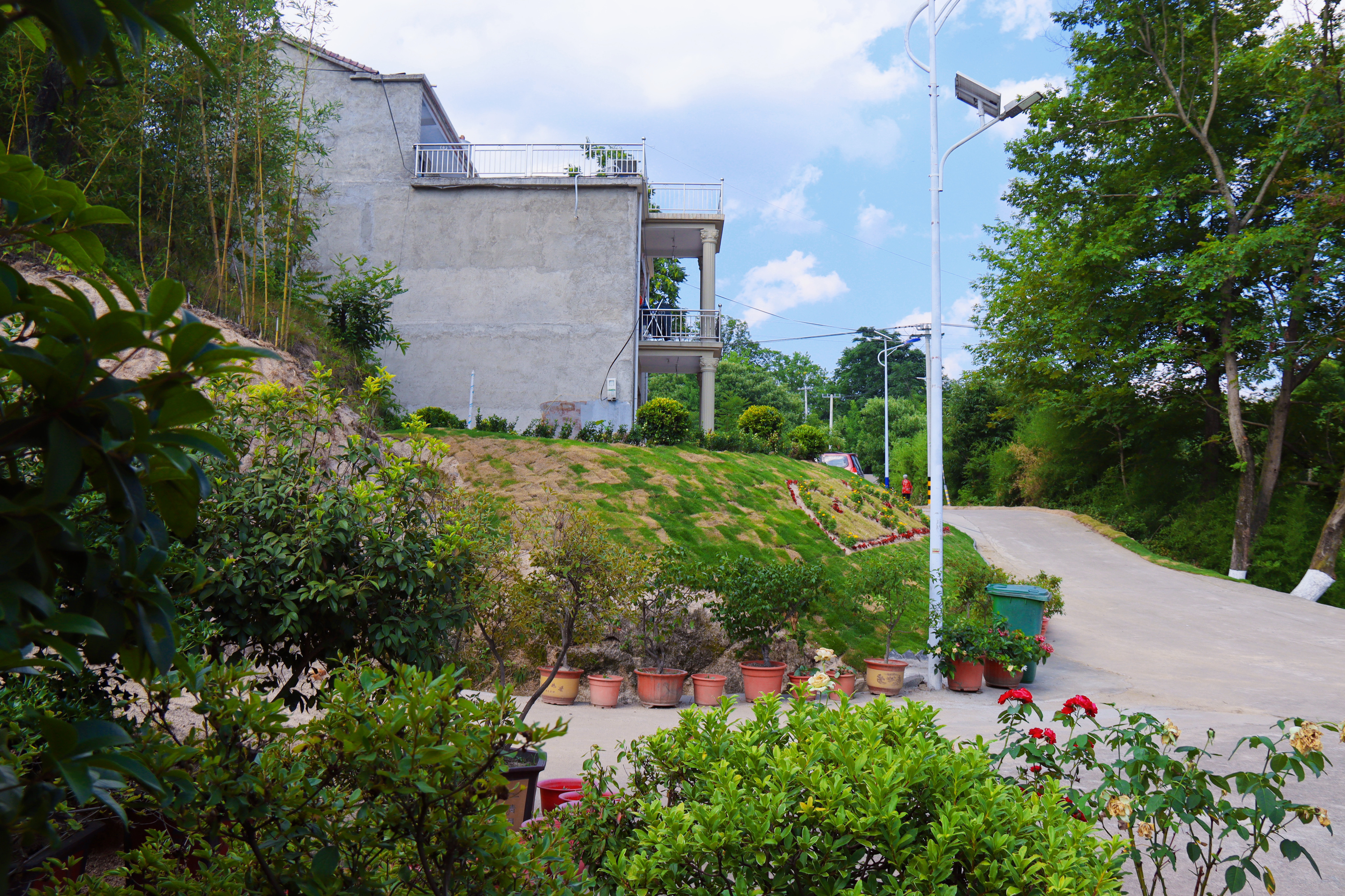 商城县余集镇:从"摆脱脏乱差"到"追求乡村美"