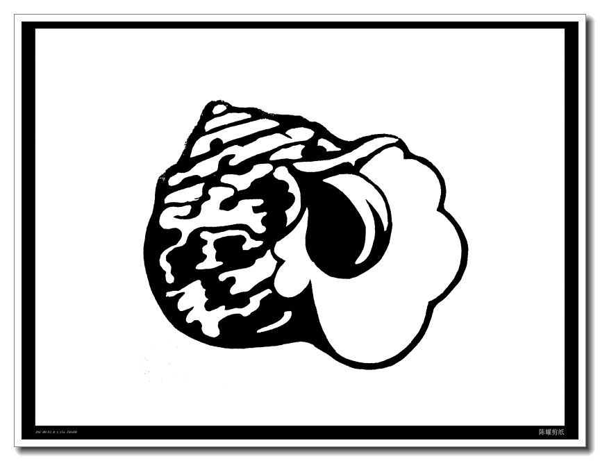 陈耀教你学剪纸系列之六十四,一组精美的海螺贝壳剪纸
