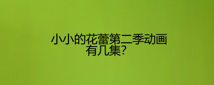 小小的花蕾第二季动画有几集?
