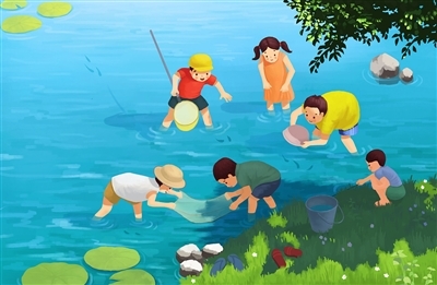 常山新闻网丨捉 鱼