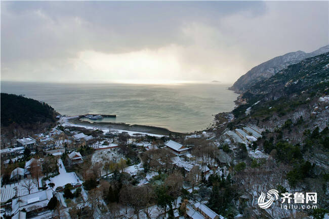 崂山耐冬降雪图片图片