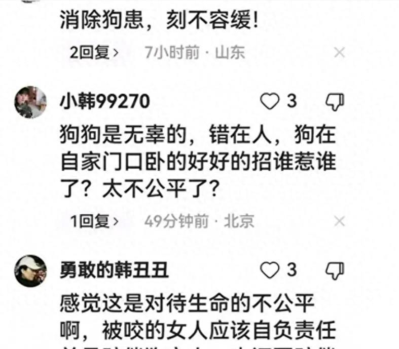 江苏松狮犬主人报复性杀死咬人狗,女子遭拒索赔800万元