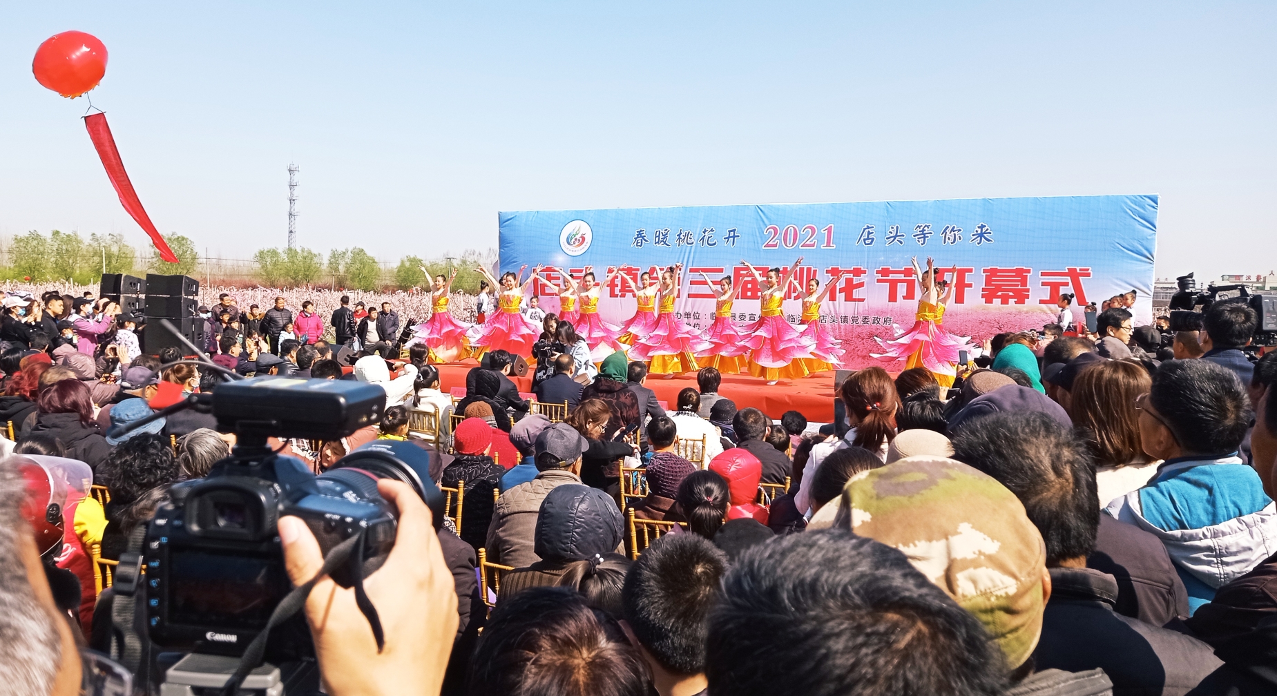 视频|临沭县店头镇第三届桃花节盛大开幕