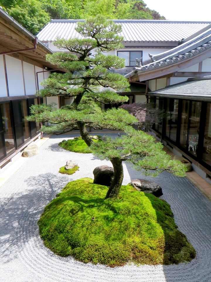 别墅绿化景观设计