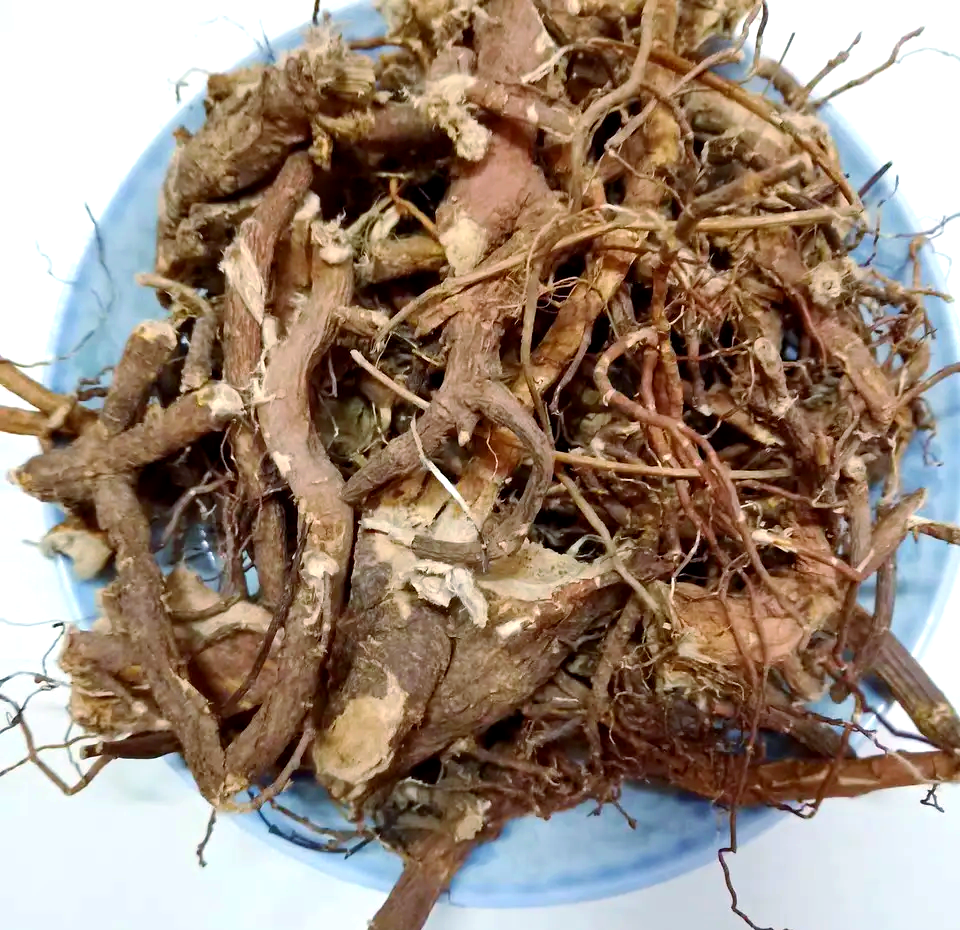 了哥王草:民间神药的疗效与历史
