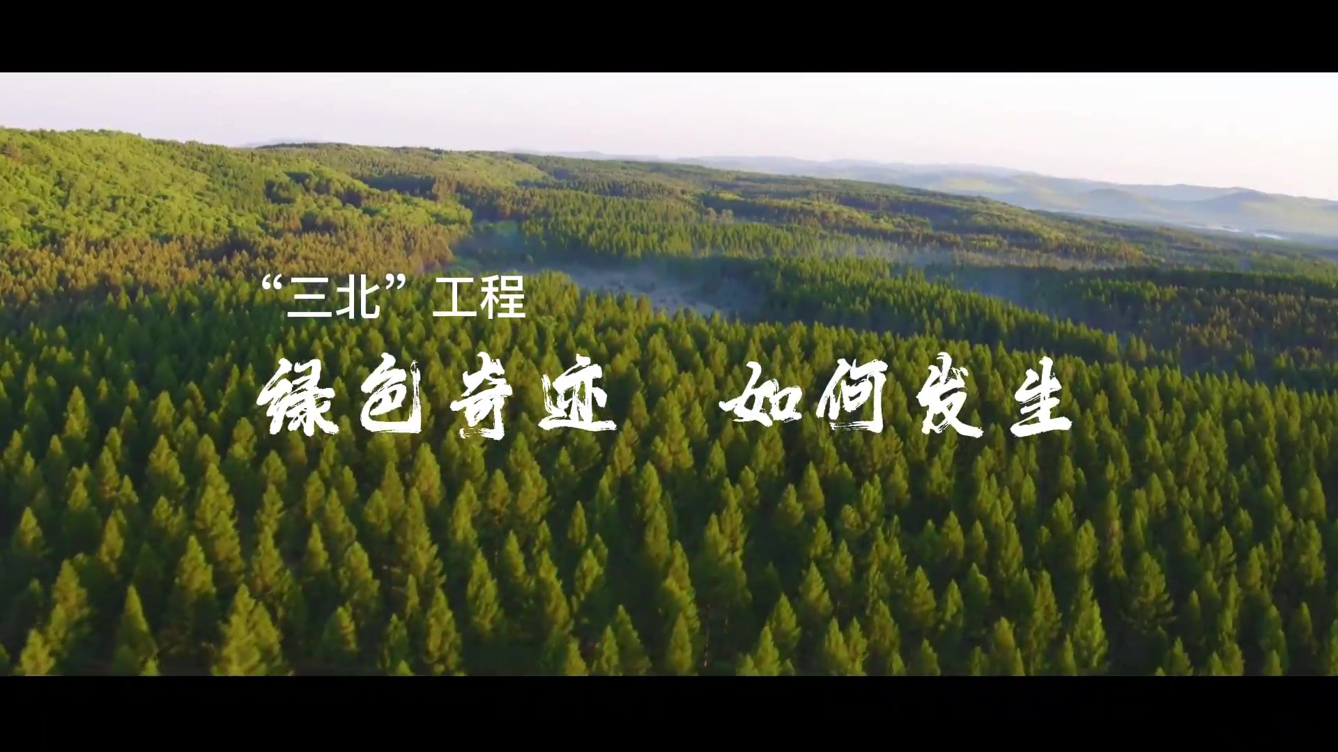 由黄到绿,由绿变美!三北工程绿色奇迹如何发生?