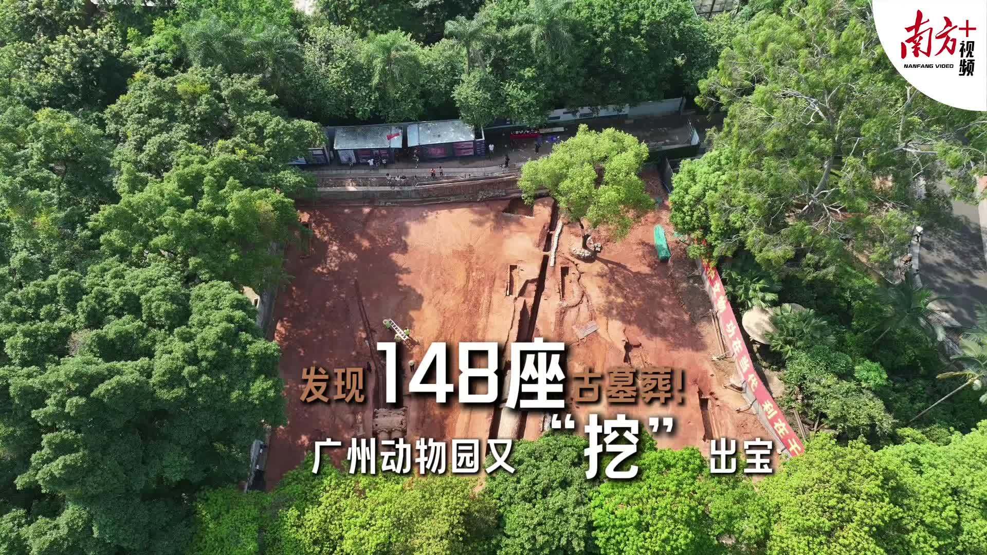 发现148座古墓葬!广州动物园又挖出宝