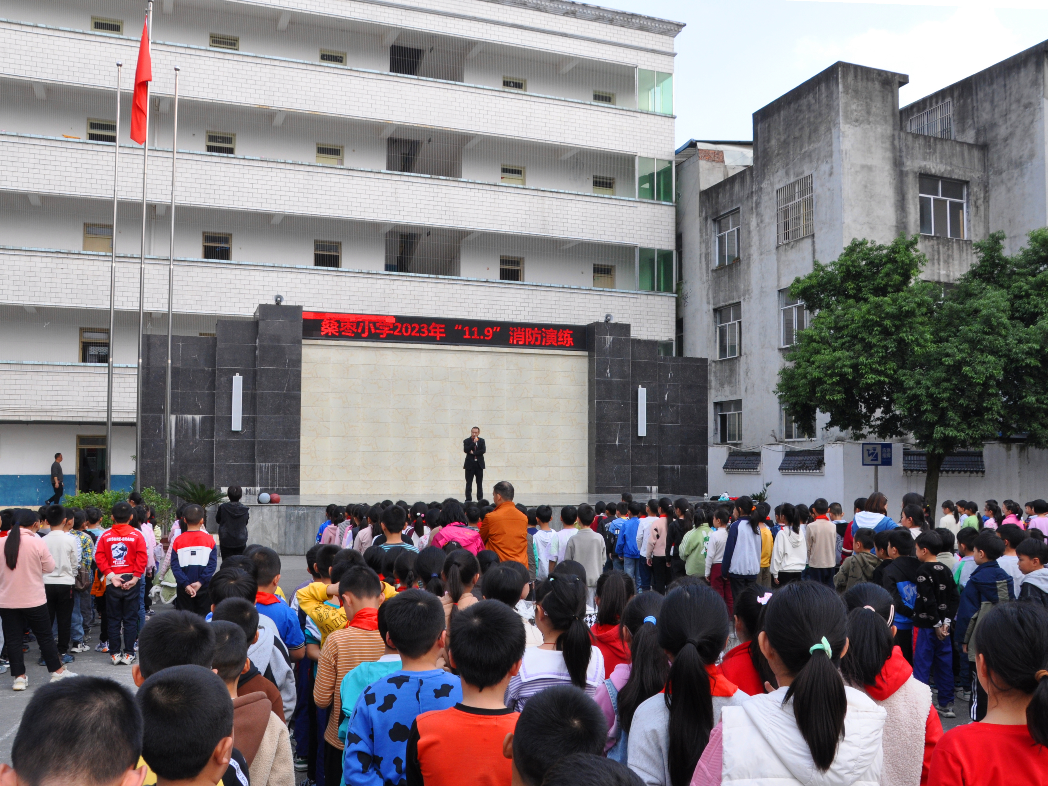 桑枣小学图片