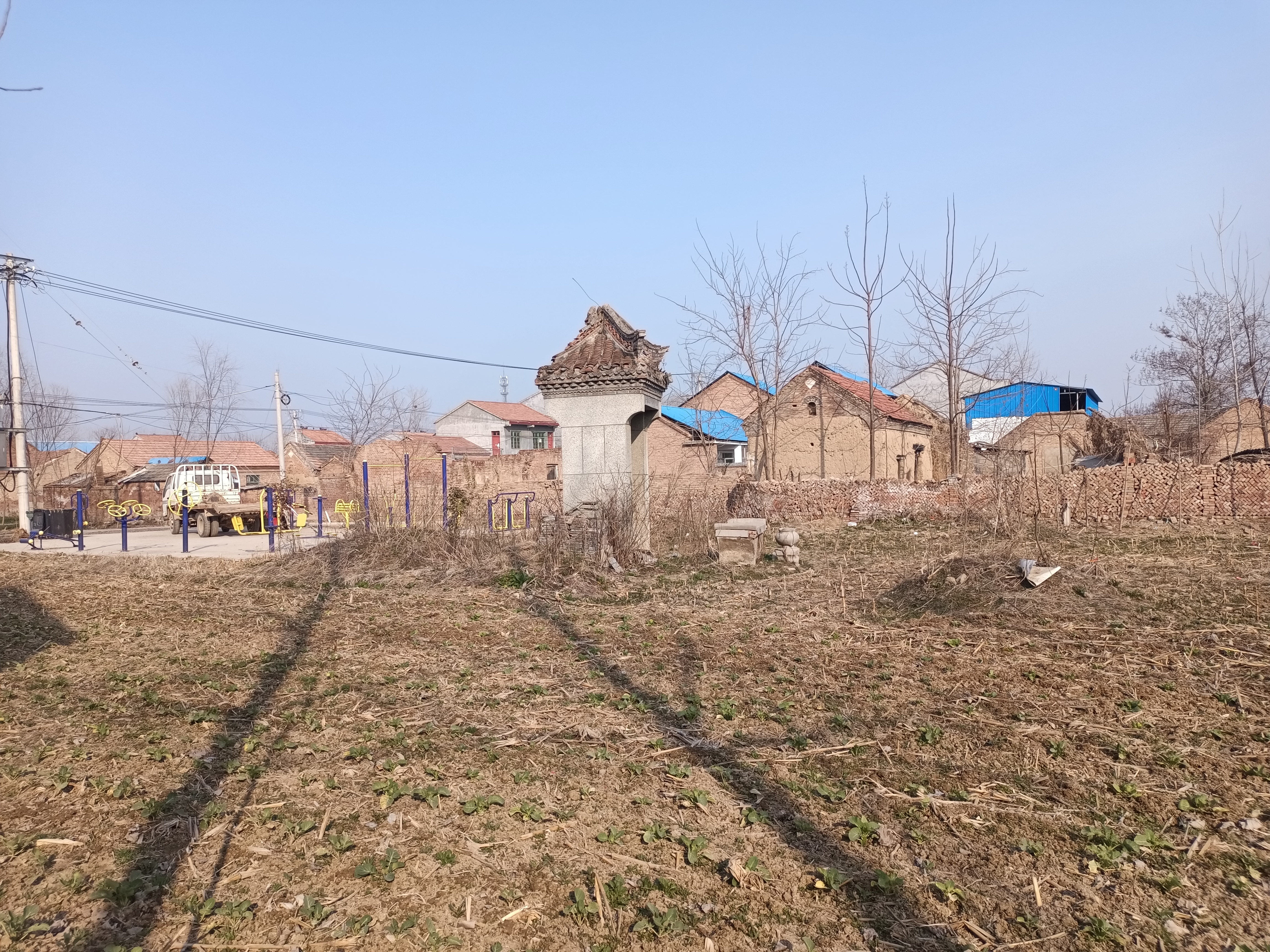 丰县王沟镇老鹳寺:一棵大树上住着一窝大老鹳