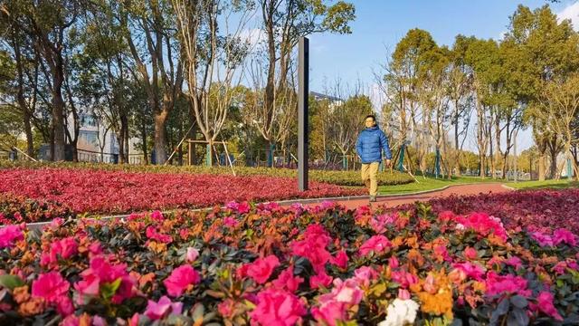 海港大道兩側綠帶改造提升工程先行啟動的樣板段,位於上海海事大學