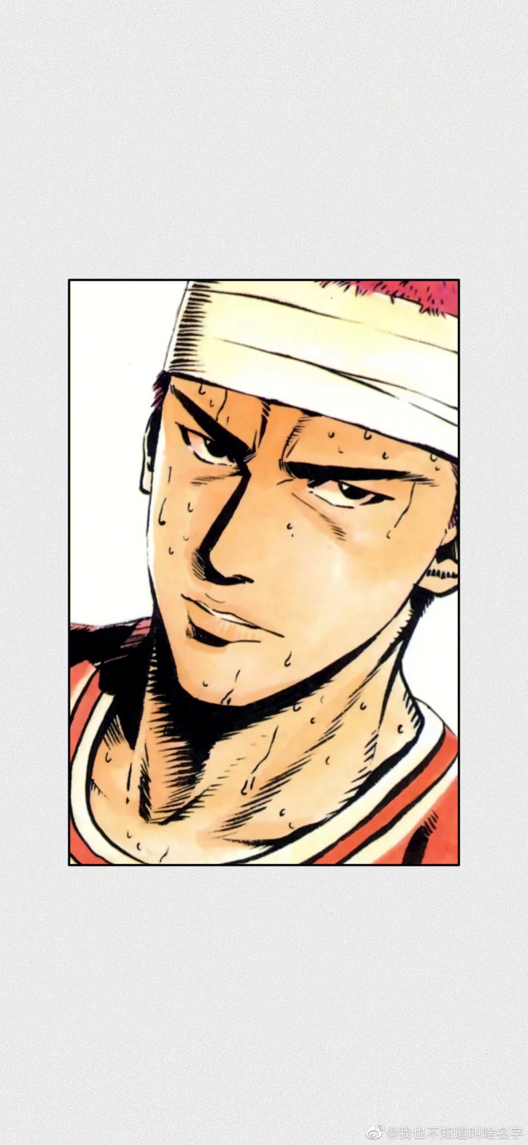 用几个词总结经典热血动漫《灌篮高手》