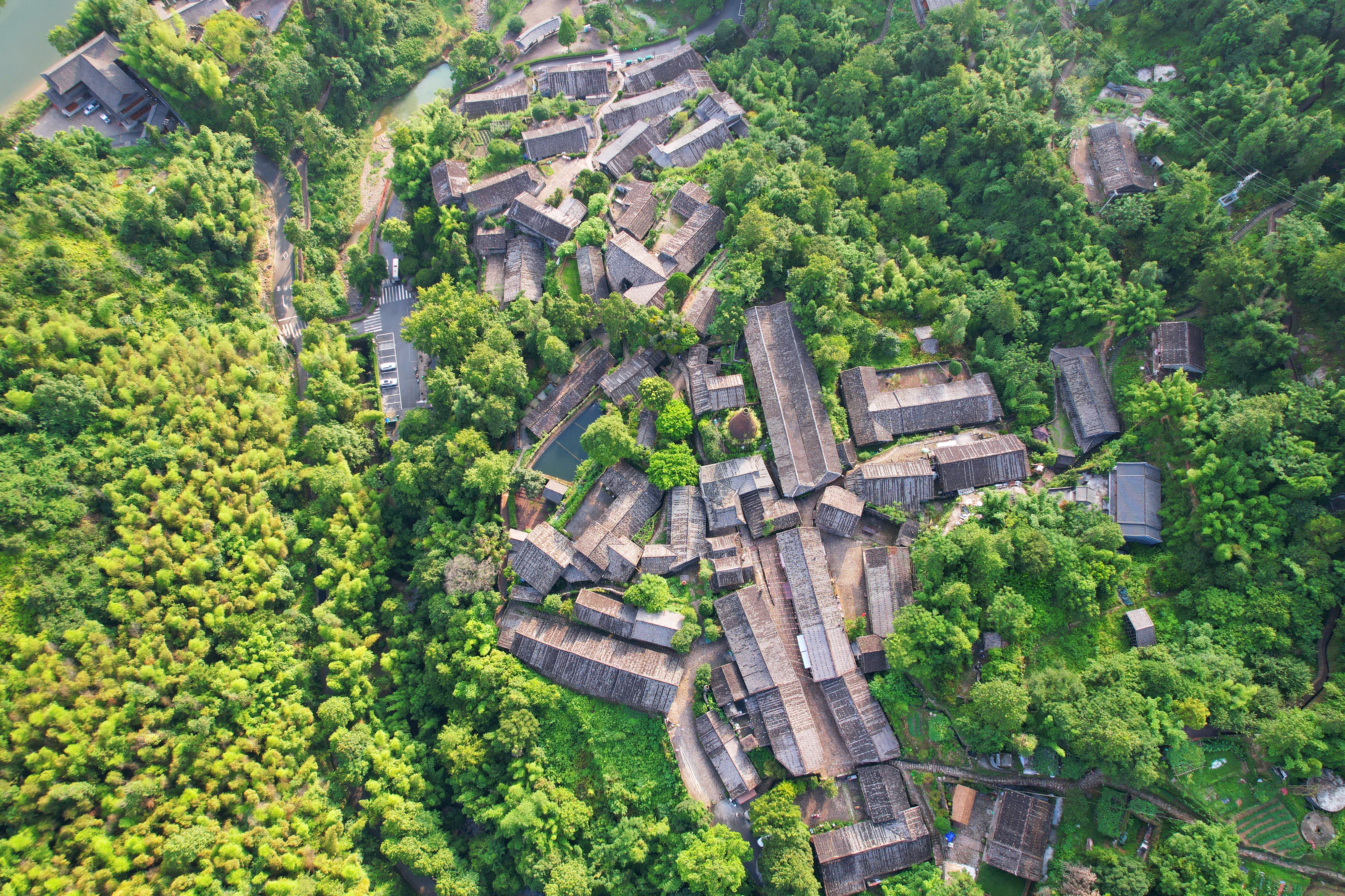 苍南古村落图片