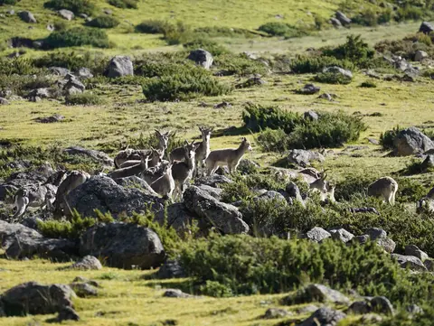 西藏自驾第3天:如美镇～八宿