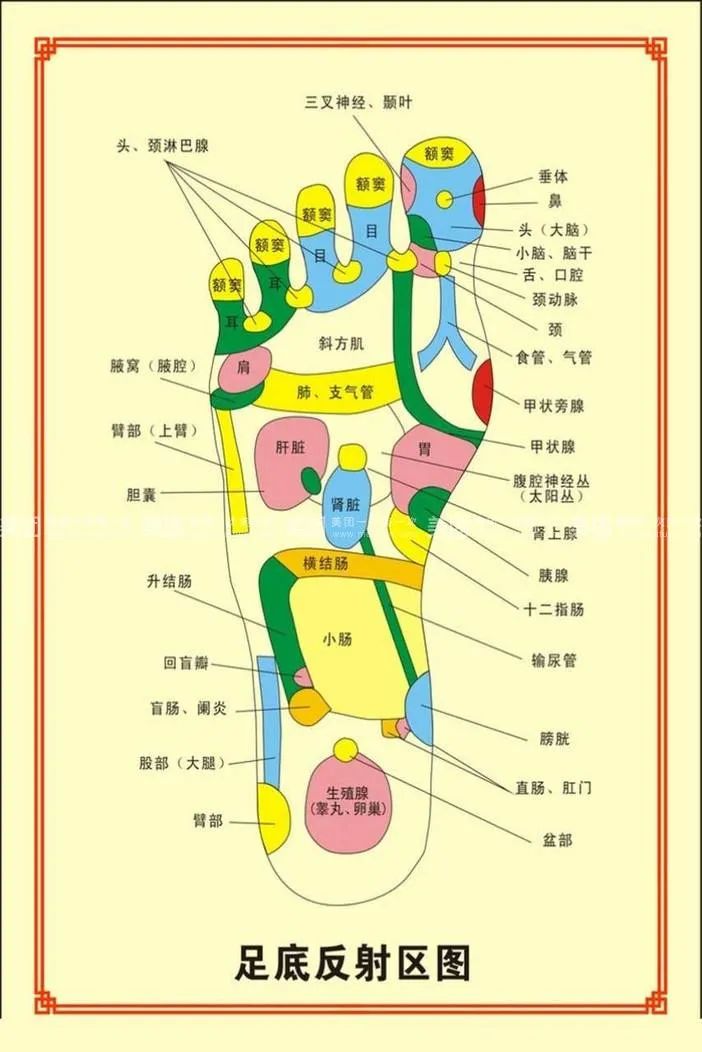 按摩脚底疼痛部位图解图片