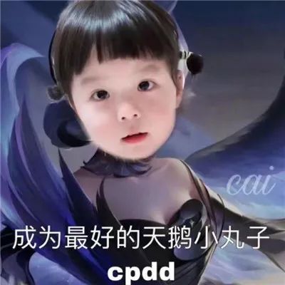 表情包:抖音热门可爱的丸子表情包