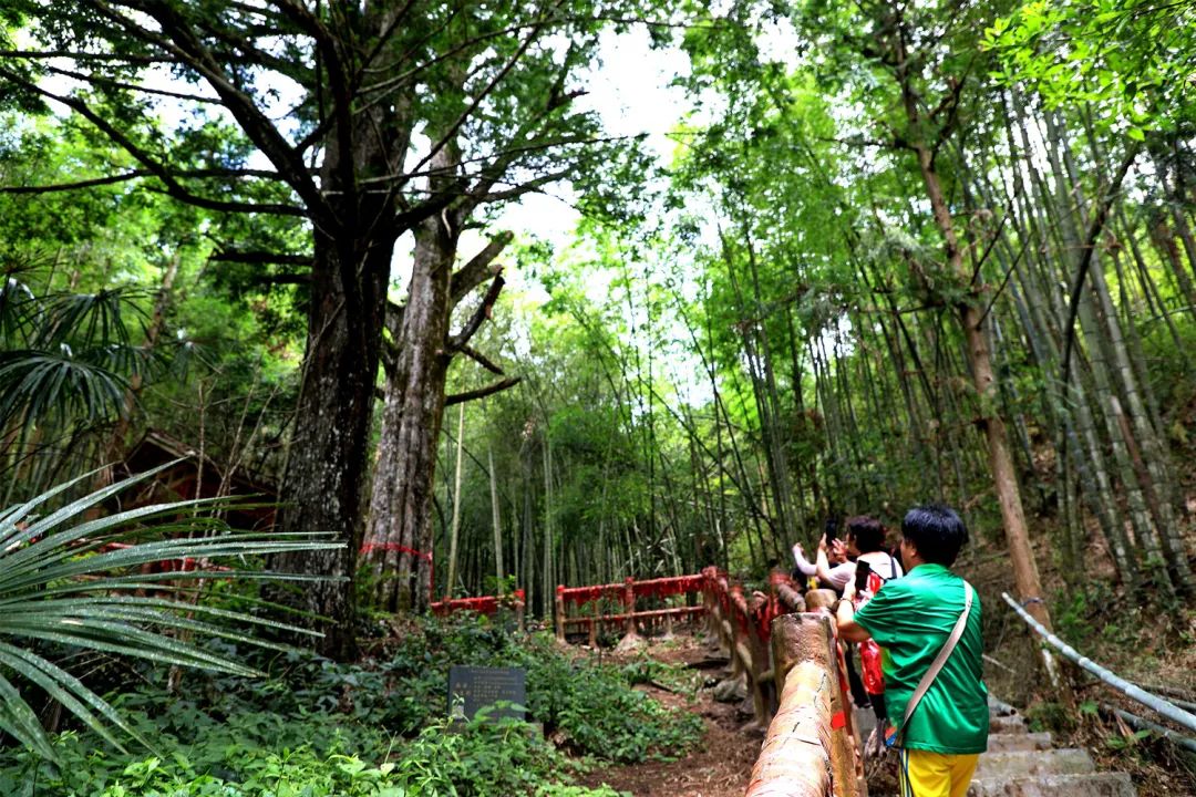 【县域动态】暑期到,金秀迎来旅游热