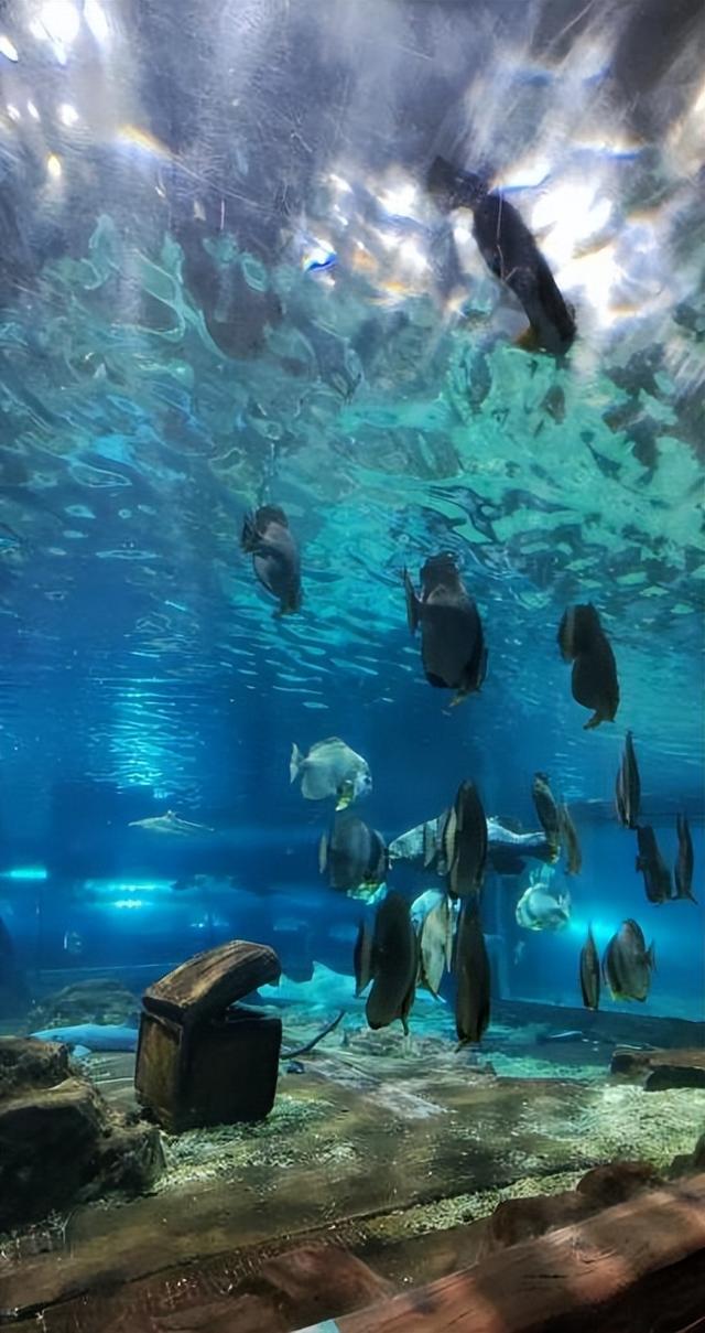 义乌微改造·精提升|小改造有大功效,海洋世界换新貌