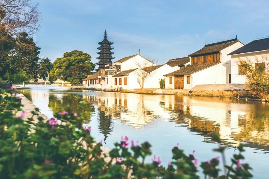 千年古镇泗泾开街,走进史量才,马相伯等名人旧居