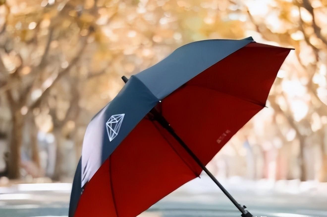 陈小英专利雨伞图片