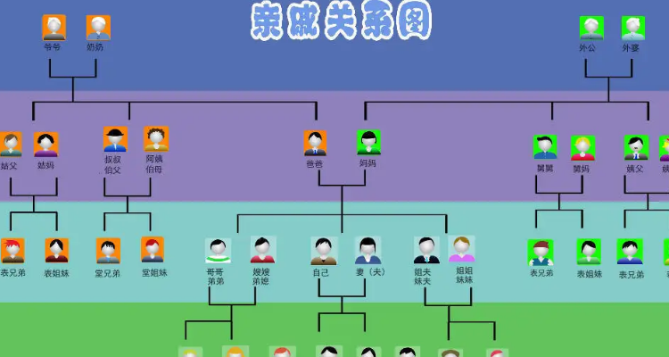 嫡系和直系区别