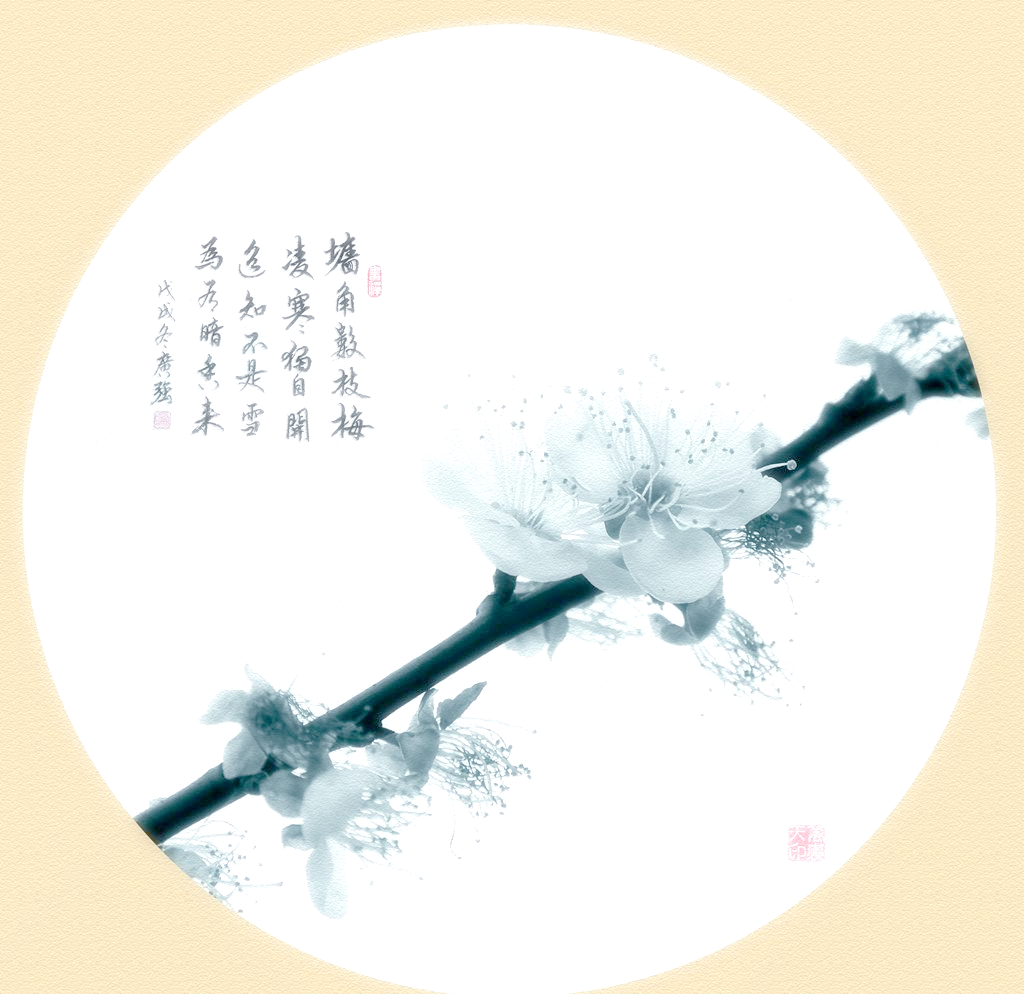 王安石诗中梅花意象的情感表达与诗意创新