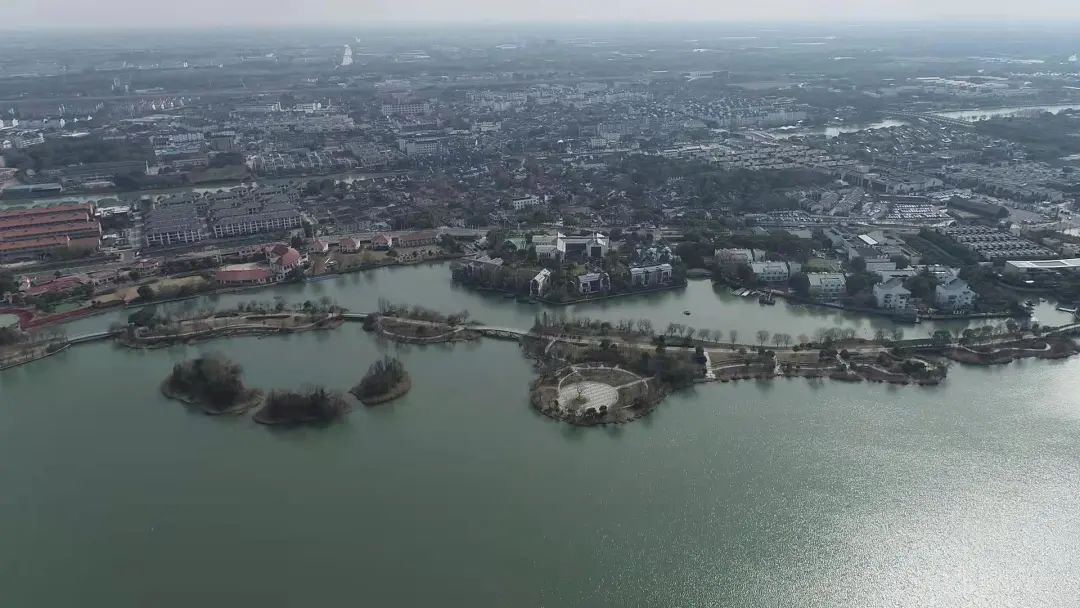 朱家角镇大淀湖改造升级,市民环湖游体验感上升