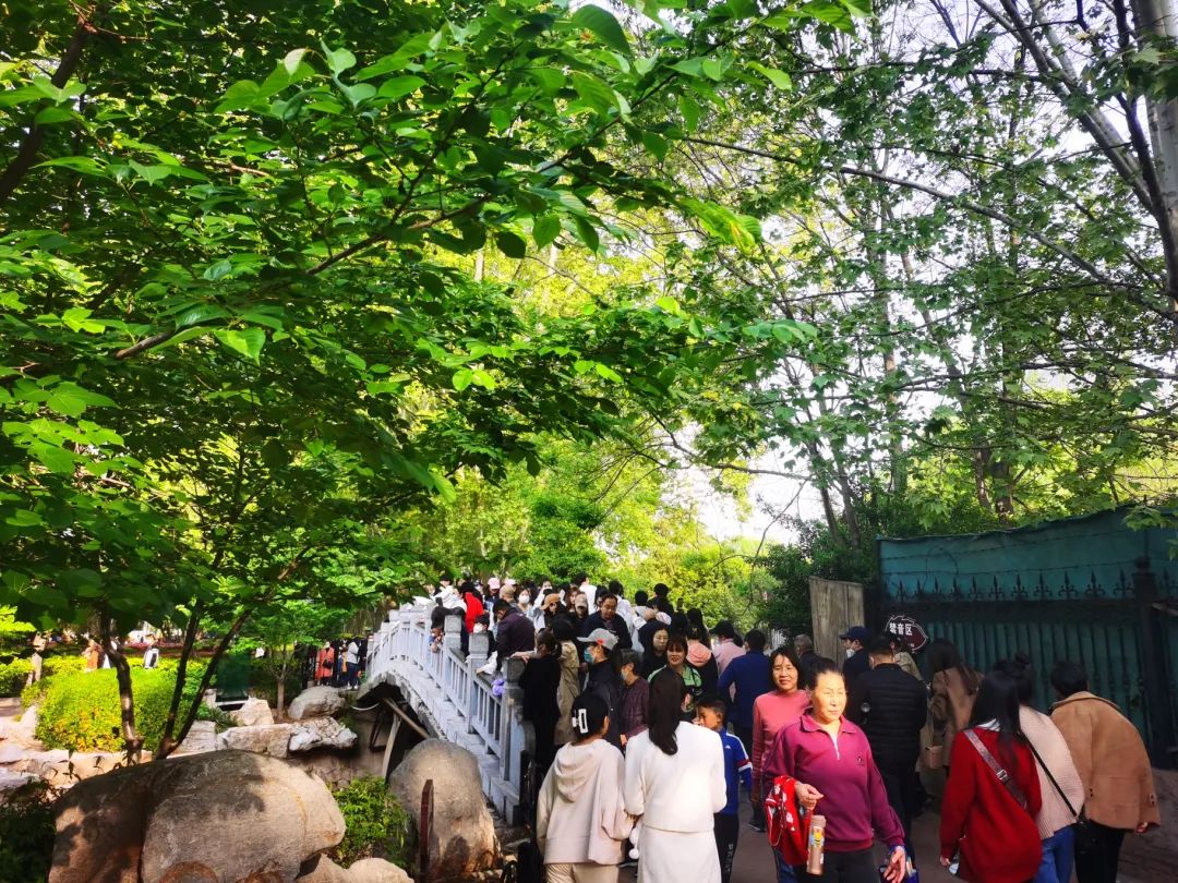 气温回升春光正好,郑州人民公园内游人如织赏花过周末