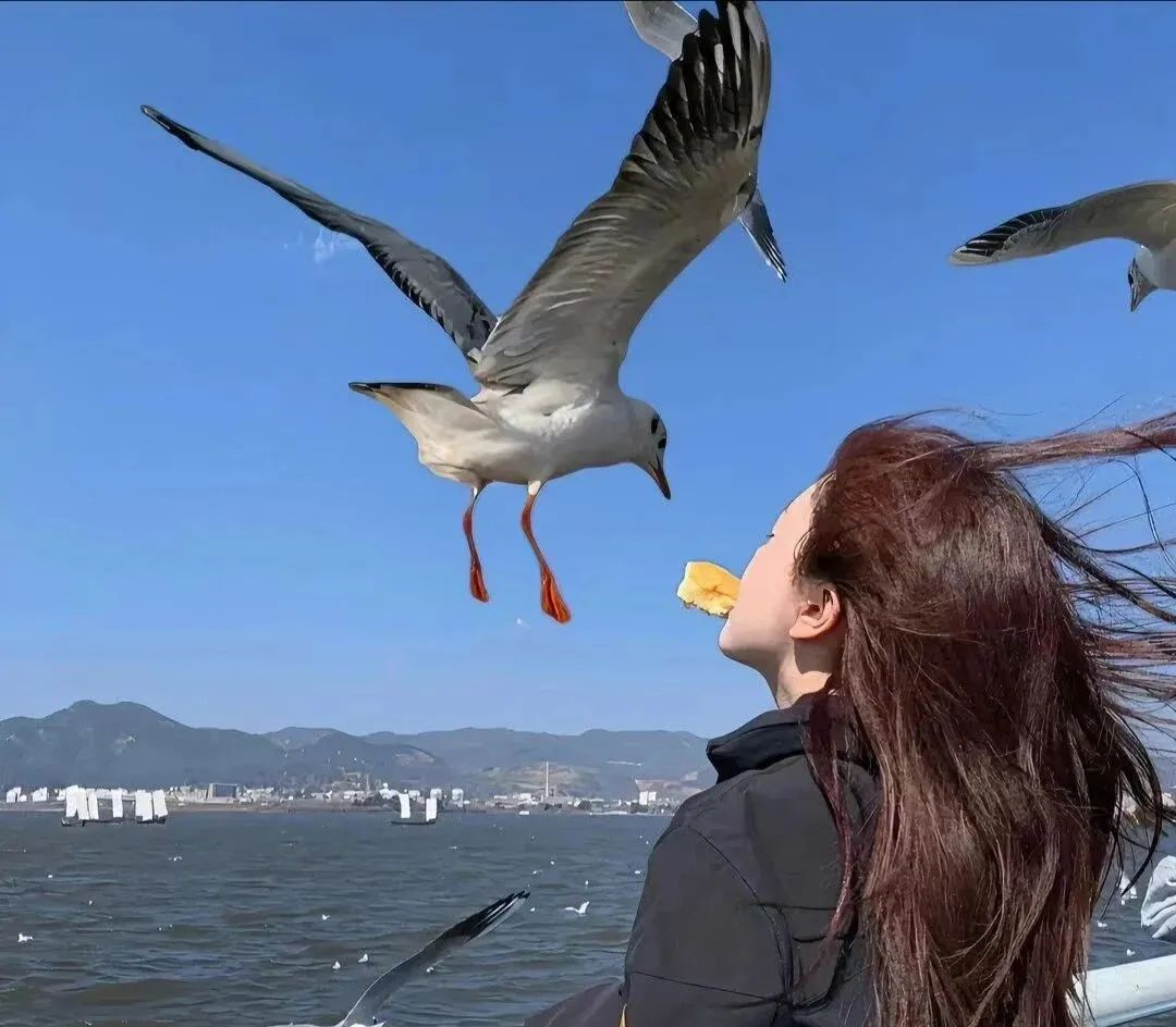 女性自信与创造力的表达:微信头像中的内涵