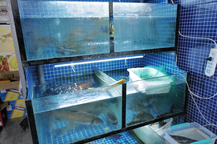 杭州游泳馆边上开了30多年的新天坛酒家,搬迁后重出江湖!