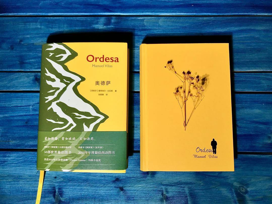 紫牛荐书|《奥德萨》:爱如慰藉,贫如疾病,文如汤药