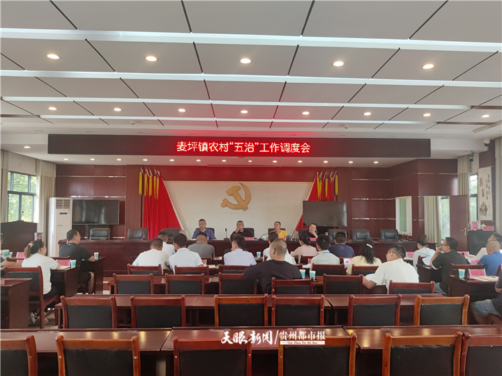 花溪区麦坪镇多措并举,以"四个强化"推动"治风"工作提质增效