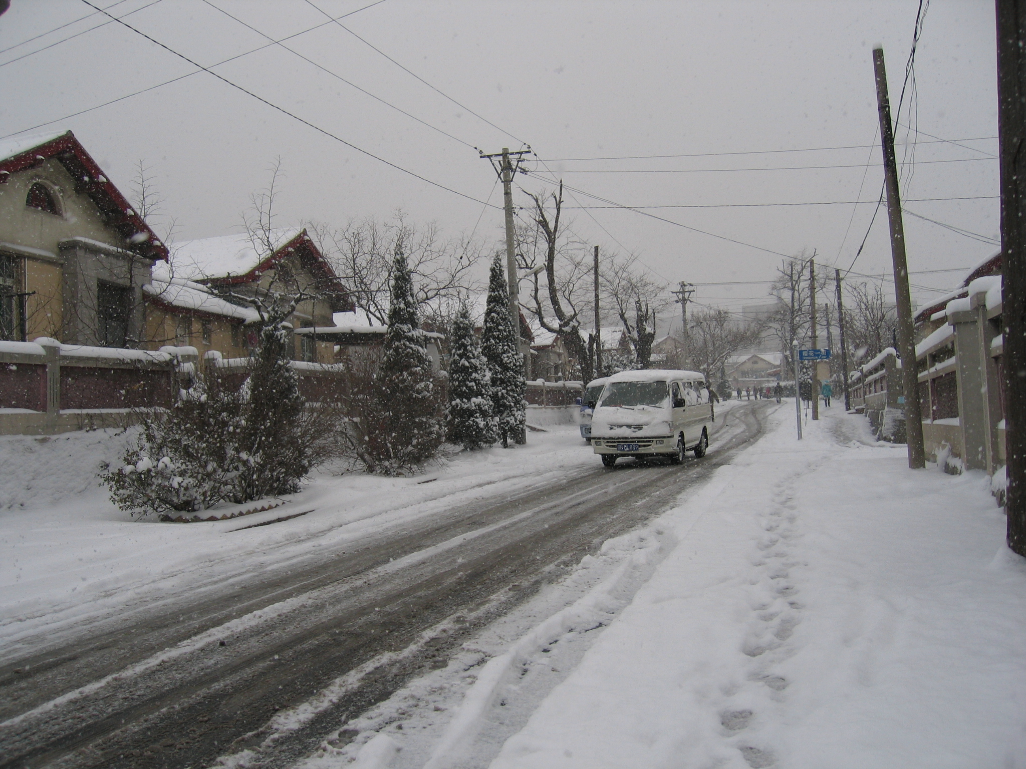 老照片2005大连甘井子樱花街(圈里——大化一宿舍)小编c723船船老长