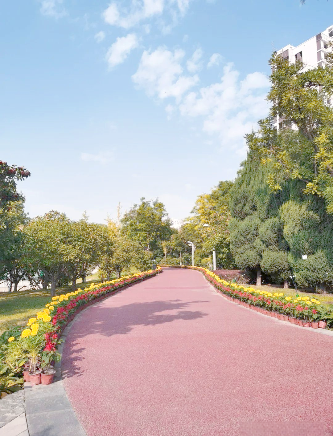 国庆前夕的晋阳街公园,尽享秋日惬意