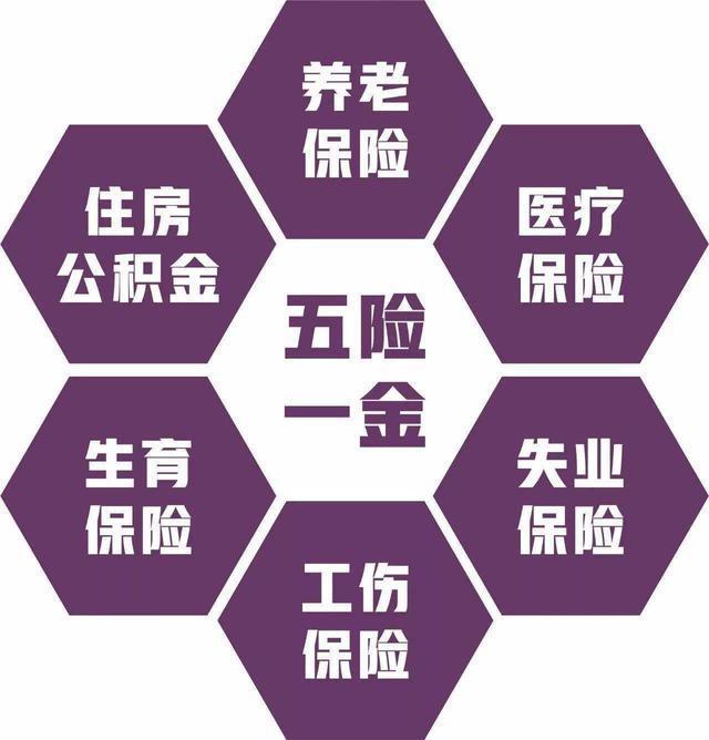 五险一金是什么?