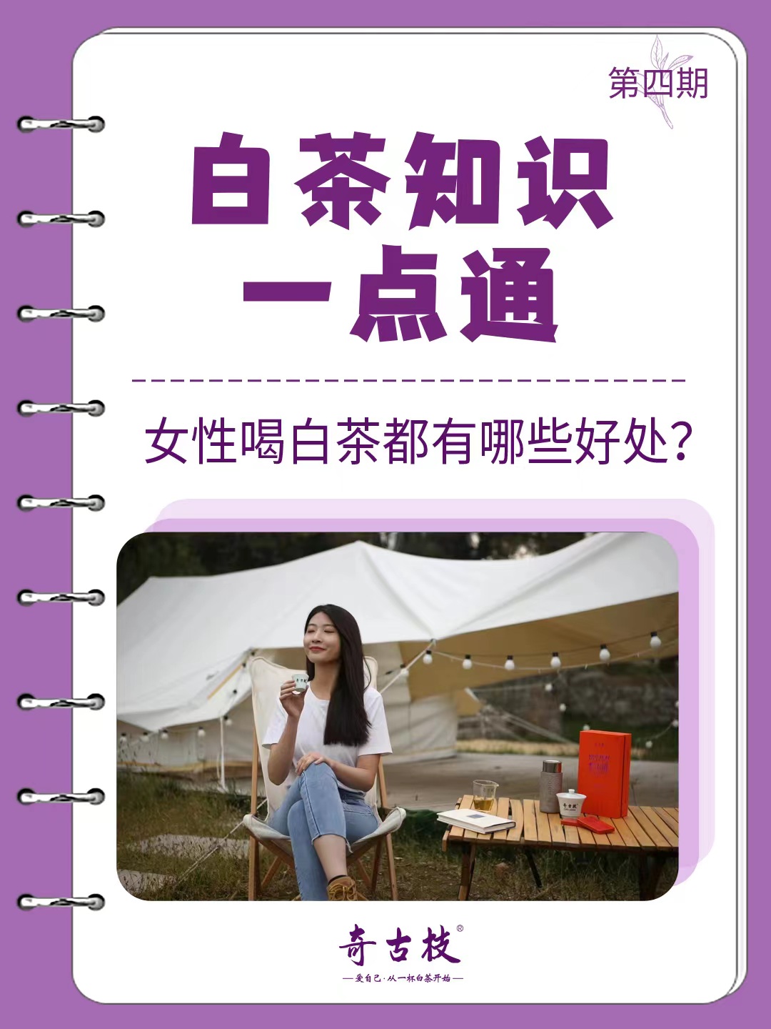 3.8特辑|女性喝白茶都有哪些好处