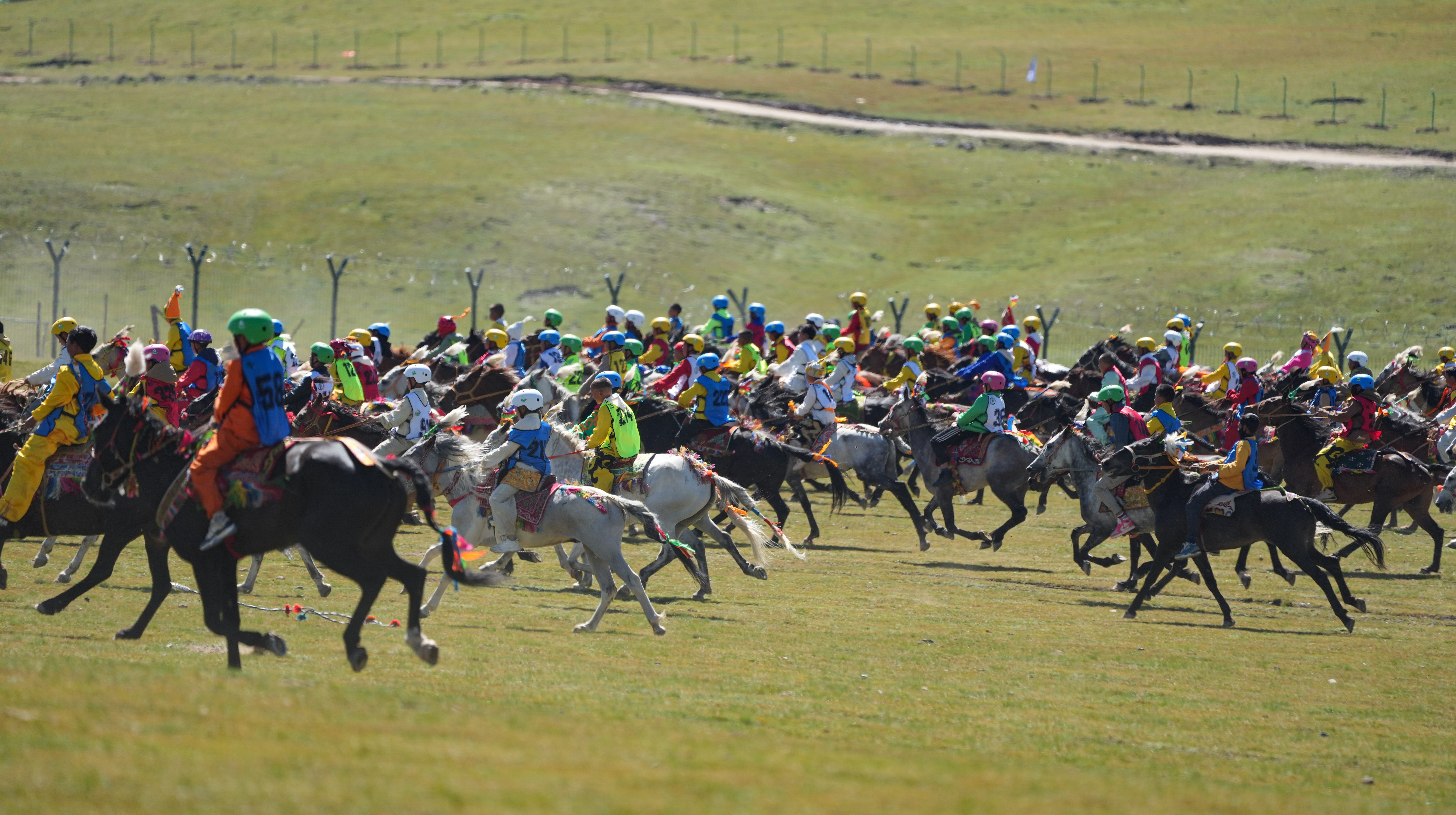 那曲恰青赛马节:感受藏北牧民的夏日狂欢