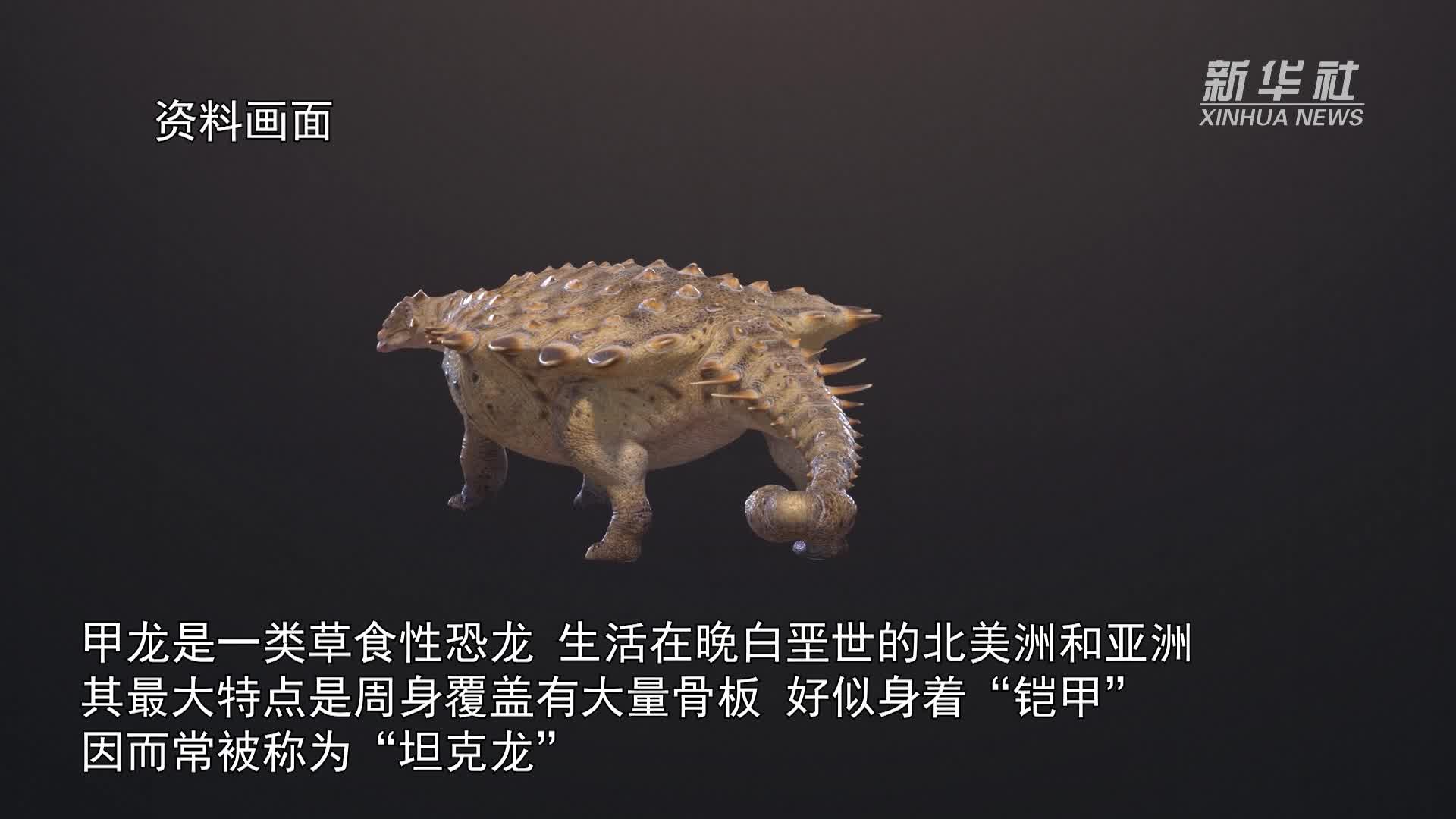 中国发现恐龙新属种被命名"达泰龙"