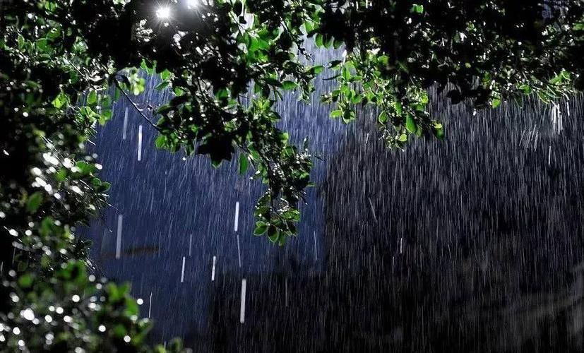 我站在深夜雨里等你