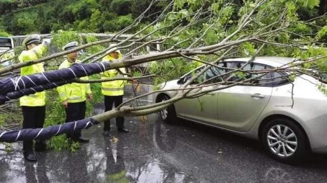 台风来袭,快收好这份用车指南!附闵行未来15日天气预报