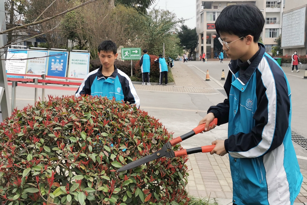 践行生态文明 我志愿加入"剪枝者"自贡十四中"3.