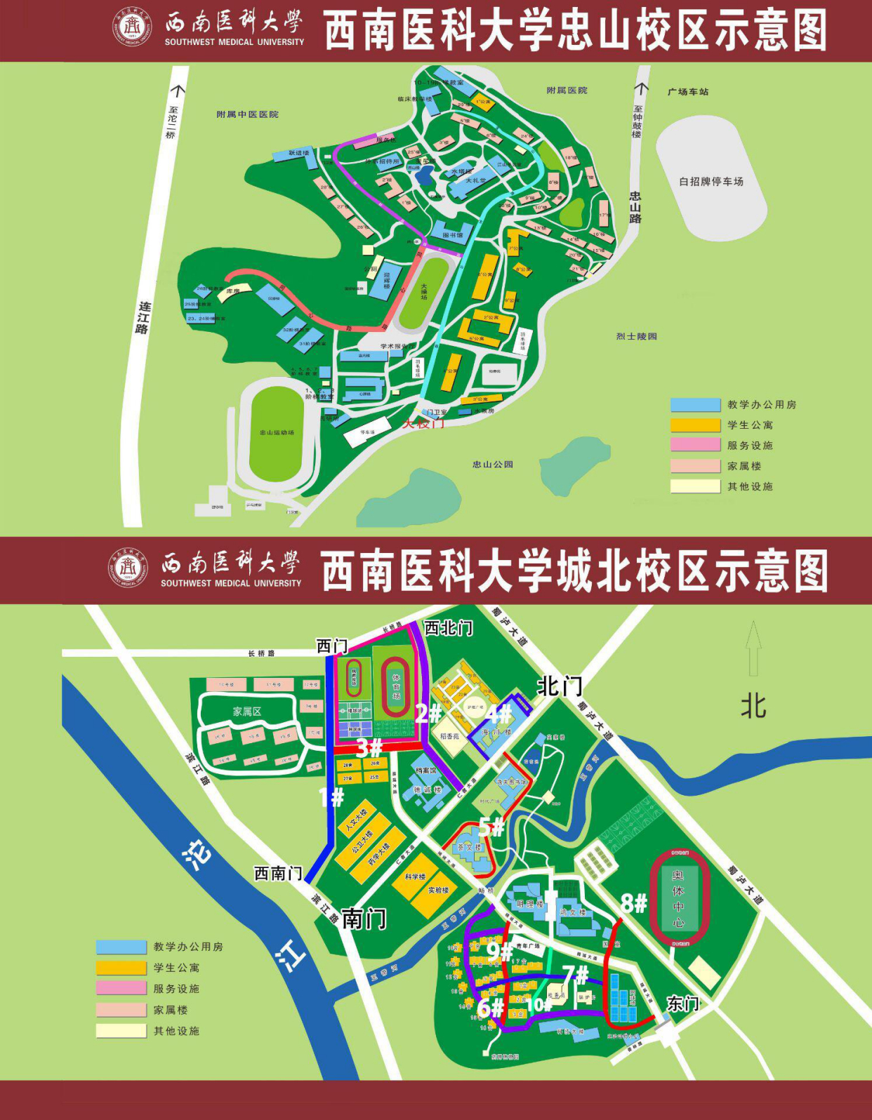 西南医科大学地址图片