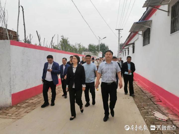 华丽蝶变!莘县徐庄镇全力打造省级美丽宜居村庄