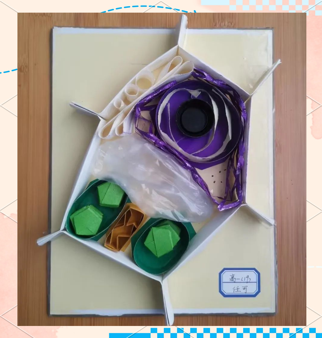 植物细胞亚显微结构模型制作:多款作品展示