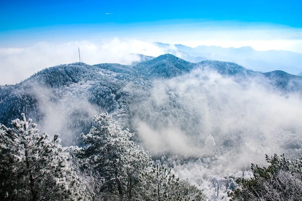 景宁敕木山:赏雾凇 仙境的那种!